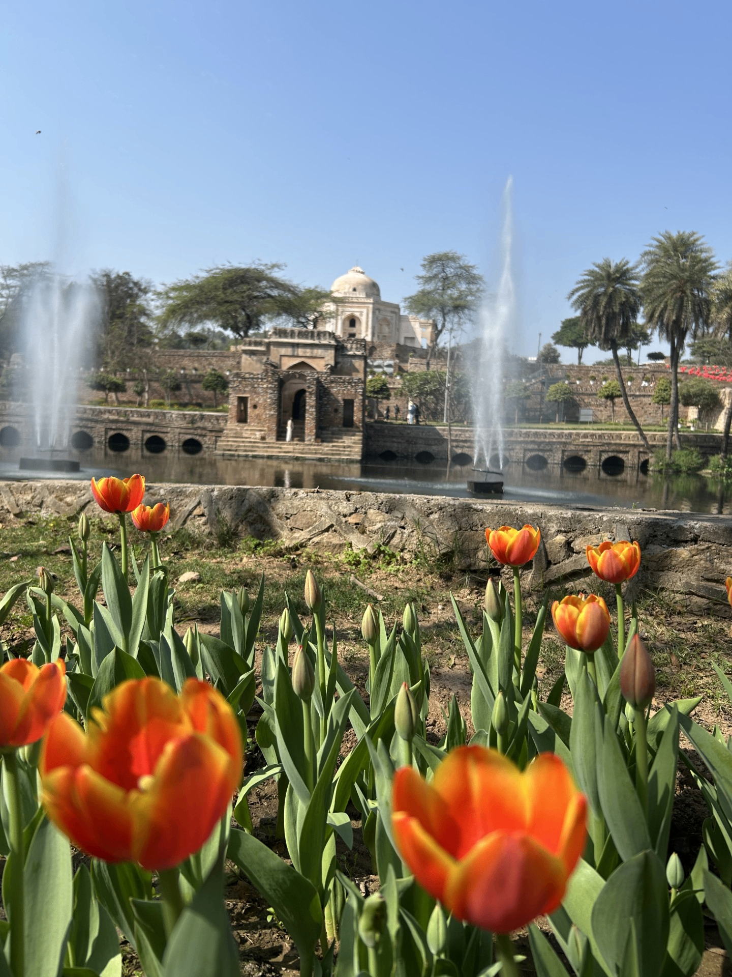 Archaeological Park Walk
